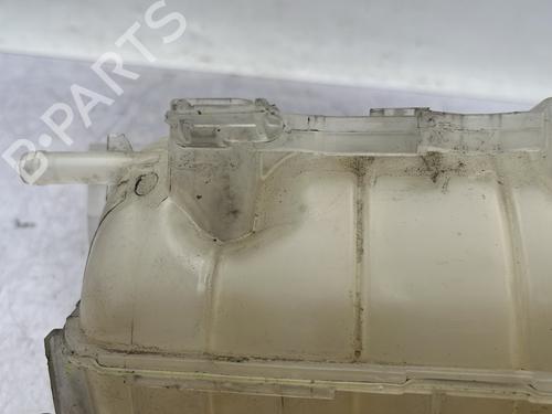 Expansion tank RENAULT KANGOO / GRAND KANGOO II (KW0/1_) 1.5 dCi 90 (KW05, KW08, KW0G, KW11) | BP29968126C120