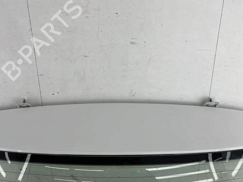 Tailgate VW POLO VI (AW1, BZ1, AE1) 1.6 TDI | BP23760799C6