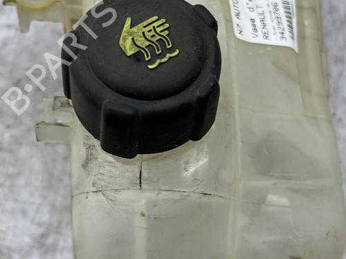 Expansion tank RENAULT SCÉNIC III (JZ0/1_) 1.9 dCi (JZ0J, JZ1J, JZ1K, JZ1S) | BP23690456C120 