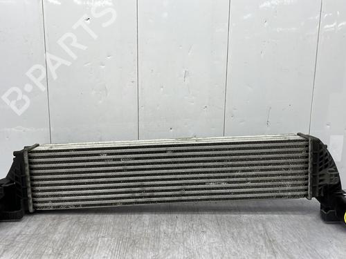 Intercooler RENAULT ESPACE IV (JK0/1_) 2.0 dCi (JK01, JK02, JK1J, JK1K, JK1H) (150 hp) 27212997