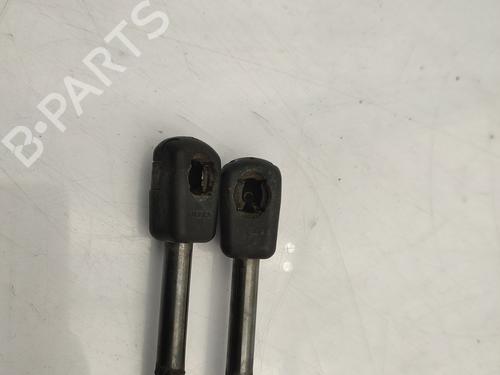 Tailgate lift support DACIA SANDERO 1.5 dCi | BP25820262C138