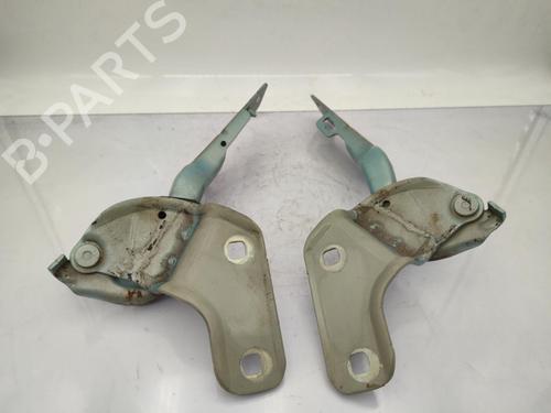 hingedoor-check-strap-renault-clio-iii-br01-cr01-2005-2006-2007-2008-2009-2010-2011-2012-2013-2014-23677621 main image