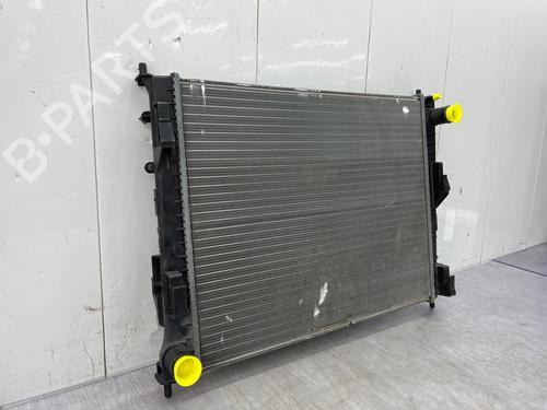 Water radiator RENAULT TWINGO II (CN0_) | BP34043850M31 - Image 6