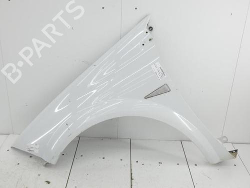 Used Left front fenders RENAULT MEGANE II (BM0/1_, CM0/1_) 1.5 dCi (BM1F, CM1F) (86 hp) 23665182