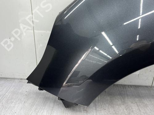 Left front fenders RENAULT SCÉNIC III (JZ0/1_) 1.9 dCi (JZ0J, JZ1J, JZ1K, JZ1S) | BP25279688C41 