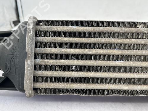 Intercooler FIAT PUNTO (199_) | BP35890483M30 - Image 6
