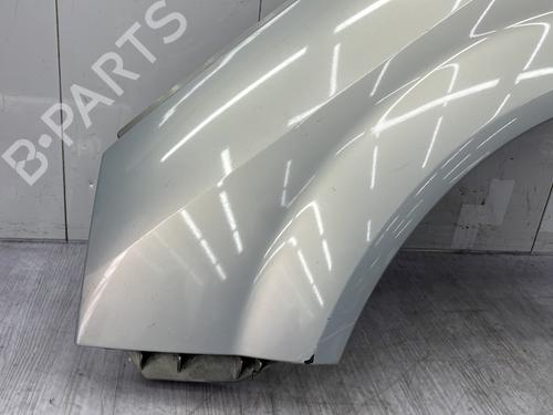 Left front fenders RENAULT SCÉNIC II (JM0/1_) 1.9 dCi (JM0G, JM12, JM1G, JM2C) | BP25997690C41 