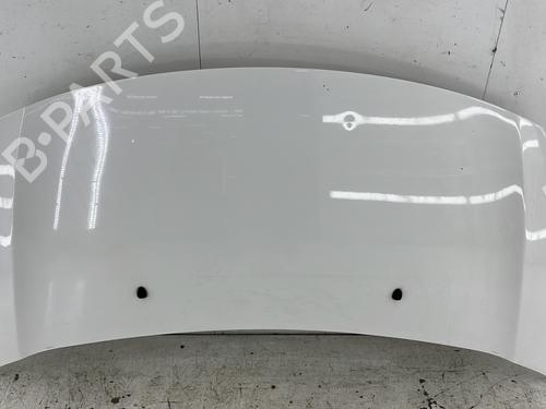 Used Hood CITROËN C3 II (SC_) 1.4 HDi 70 (SC8HZC, SC8HR0, SC8HP4) (68 hp) 29243259