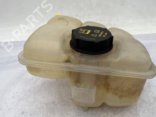 Expansion tank FORD C-MAX II (DXA/CB7, DXA/CEU) 1.0 EcoBoost | BP29865944C120