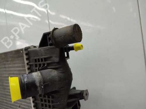Used Water radiator Water radiator RENAULT SCÉNIC III (JZ0/1_) 1.2 TCe (116 hp) 23741857 23741857