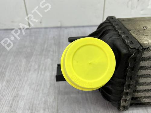 Intercooler RENAULT LAGUNA Coupe (DT0/1) 3.0 dCi (DT03) | BP23756042M30  - Image 7