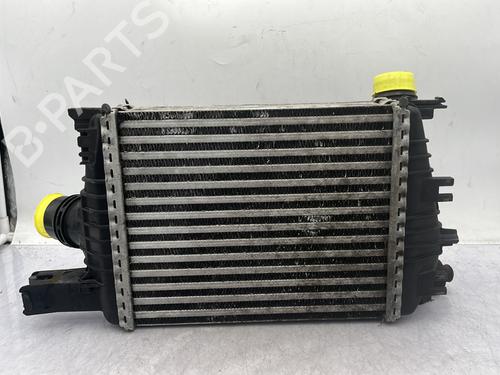 Intercooler RENAULT CLIO IV Grandtour (KH_) 1.5 dCi 90 (KHN3, KHN4) | BP30902434M30