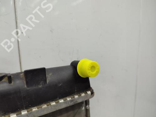 Water radiator PEUGEOT PARTNER Tepee 1.6 HDi 90 | BP23742976M31  - Image 9