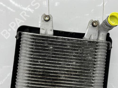 Intercooler KIA CARNIVAL I (UP, FL) 2.9 TDi | BP23759543M30  - Image 8