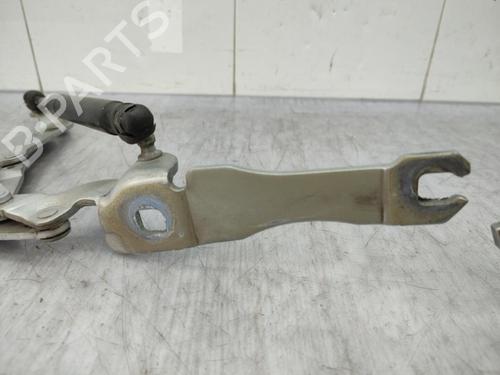 Used Hinge/Door check strap MINI MINI (R56) Cooper D (109 hp) 23678399