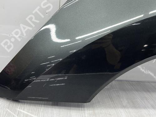 Left front fenders PEUGEOT 3008 I MPV (0U_) 1.6 HDi | BP28010892C41 