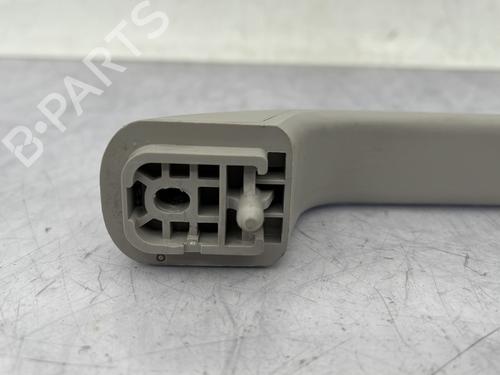 Interior roof handle DACIA SANDERO III 1.0 TCe 100 ECO-G | BP23761547I35 