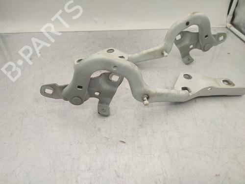 Hinge/Door check strap RENAULT SCÉNIC IV (J9_) 1.6 dCi 130 | BP26393123C146 