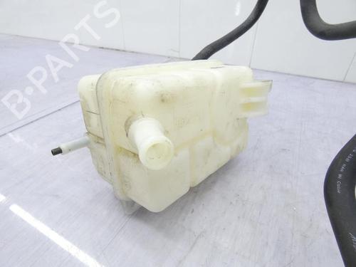 Used Expansion tank CHEVROLET AVEO / KALOS Hatchback (T250, T255) 1.2 (84 hp) 23667915