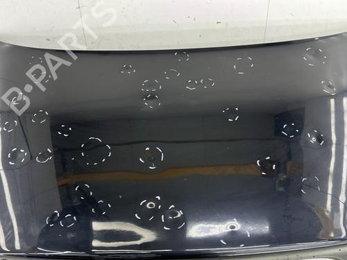 Tailgate JAGUAR S-TYPE II (X200) 4.2 V8 | BP28196477C6 