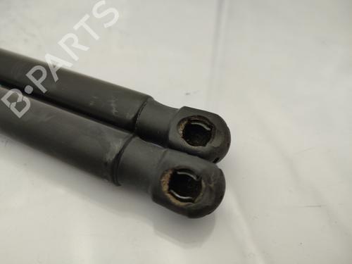 tailgate-lift-support-renault-megane-iii-hatchback-bz01_-b3_-2008-23739222 main image