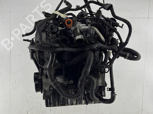 Used Engine VW GOLF VI (5K1) 2.0 TDI (110 hp) 28604597