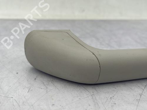 Interior roof handle DACIA SANDERO III 1.0 TCe 100 ECO-G | BP23761547I35 