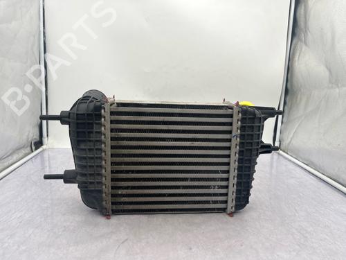 Intercooler NISSAN NOTE (E12) 1.2 DIG-S | BP36646408M30 - Image 6