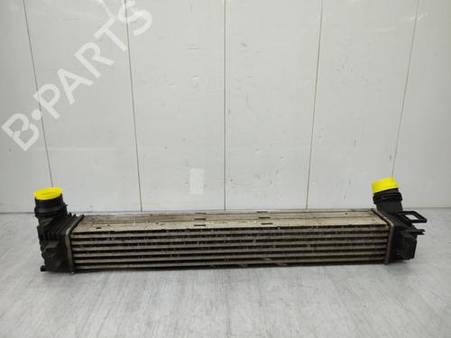Used Intercooler RENAULT MEGANE III Grandtour (KZ0/1) 1.5 dCi (KZ09, KZ0D, KZ1G, KZ29, KZ14, KZ1W, KZ10, KZ1F,... (110 hp) 23741540