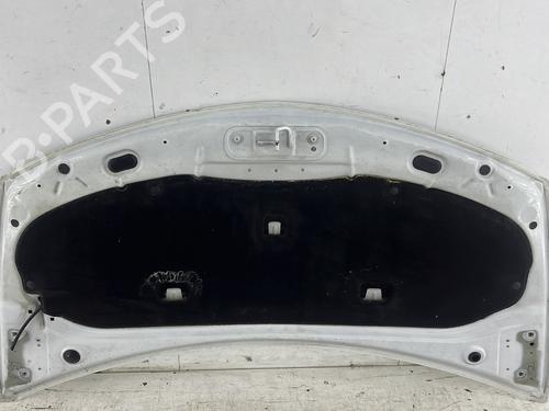 Hood RENAULT CLIO III (BR0/1, CR0/1) 1.5 dCi | BP23760506C1 