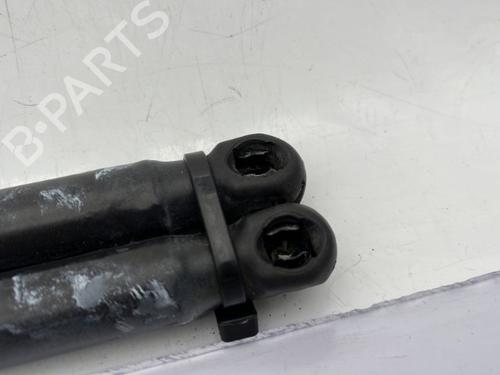 Tailgate lift support CITROËN C3 I (FC_, FN_) 1.4 i | BP23680555C138 