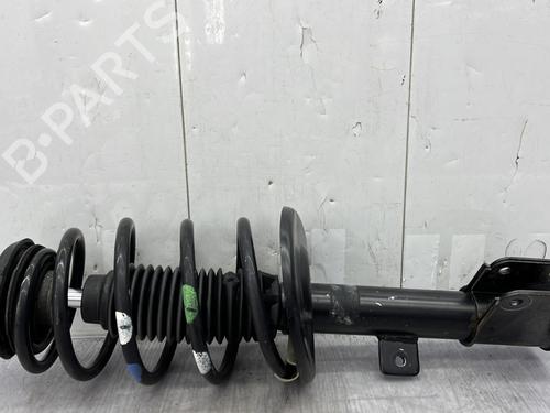 Right front shock absorber PEUGEOT PARTNER Tepee 1.6 HDi 75 (16V) | BP26019119M17 - Image 5