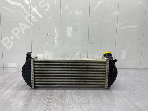 Intercooler RENAULT KANGOO Express (FW0/1_) | BP38425943M30 - Image 5