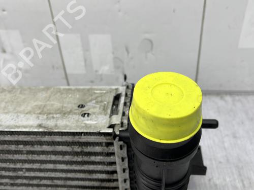 Intercooler RENAULT LAGUNA III (BT0/1) 1.5 dCi (BT00, BT0A, BT0T, BT1J) | BP24055439M30  - Image 7