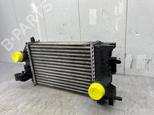 Intercooler OPEL MERIVA B MPV (S10) 1.7 CDTI (75) | BP35890139M30 - Image 6