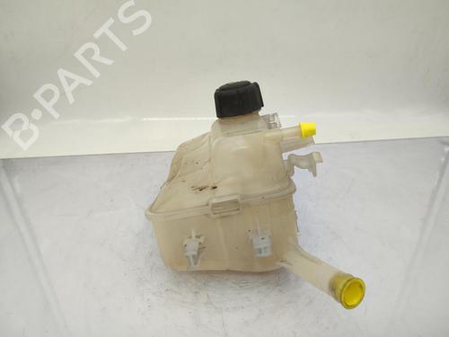 Used Expansion tank RENAULT MEGANE III Grandtour (KZ0/1) 1.5 dCi (KZ0C, KZ1A) (90 hp) 23719361