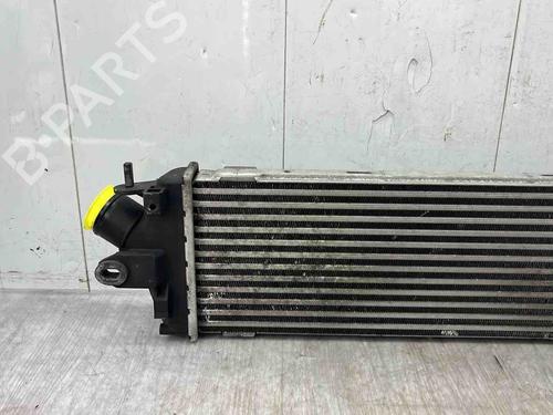 Intercooler RENAULT TRAFIC II Bus (JL) 2.0 dCi 90 (JL00, JL01, JL0H, JL0M, JL0P, JL0S) | BP36591258M30 - Image 5