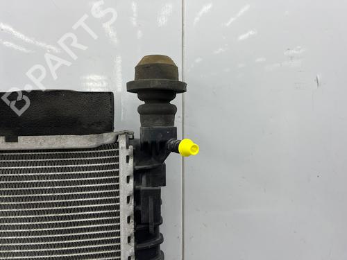 Used Water radiator Water radiator FORD TRANSIT V363 Van (FCD, FDD) 2.0 EcoBlue (130 hp) 33984262 33984262