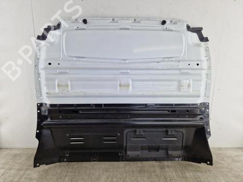 Used Cargo separator RENAULT TRAFIC III Van (FG_) 2.0 dCi 120 (FGMN) (120 hp) 23749376