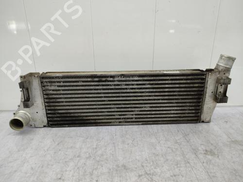 Used Intercooler Intercooler RENAULT MEGANE II Saloon (LM0/1_) 1.9 dCi (131 hp) 23708100 23708100