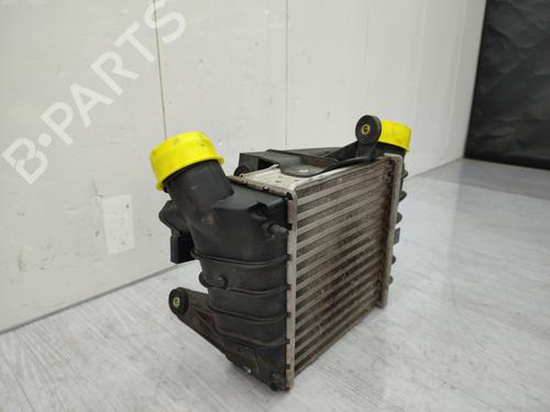 Intercooler VW POLO (9N_, 9A_) 1.4 TDI | BP23738922M30 