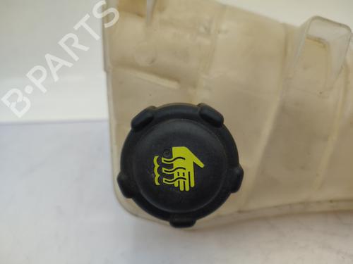 Used Expansion tank RENAULT KANGOO Express (FW0/1_) 1.5 dCi 90 (FW0G, FW05, FW08, FW11) (90 hp) 23740361
