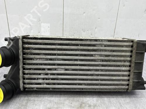 Intercooler CITROËN BERLINGO MULTISPACE (B9) 1.6 HDi 90 | BP23753752M30 - Image 6
