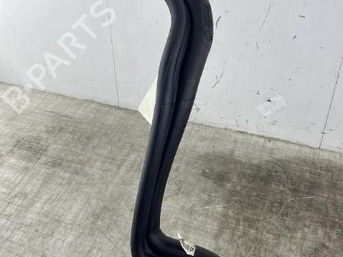 Used Fuel tank RENAULT SCÉNIC III (JZ0/1_) 1.2 TCe (116 hp) 31761022