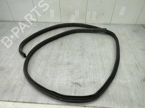 Used Rubber door seal DACIA SPRING EV (B6M1) (45 hp) 24304157