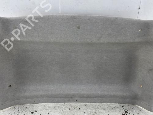 Used Interior roof RENAULT KANGOO / GRAND KANGOO II (KW0/1_) 1.5 dCi 90 (KW05, KW08, KW0G, KW11) (90 hp) 30722921
