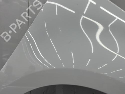 Used Right front fenders Right front fenders RENAULT SCÉNIC III (JZ0/1_) 1.5 dCi (106 hp) 23756533 23756533