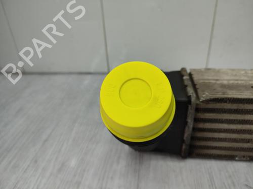 Used Intercooler Intercooler RENAULT GRAND SCÉNIC III (JZ0/1_) 1.5 dCi (JZ0B, JZ07) (106 hp) 23740965 23740965