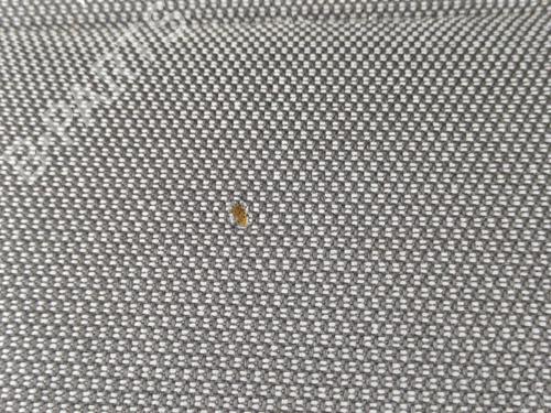 Used Seats set Seats set VW POLO V (6R1, 6C1) 1.6 TDI (90 hp) 23708792 23708792