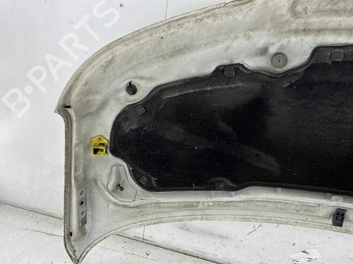 Hood VW TRANSPORTER T5 Van (7HA, 7HH, 7EA, 7EH) 1.9 TDI | BP27571229C1 